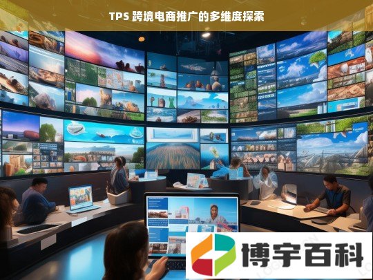 TPS 跨境电商推广的多维度探索