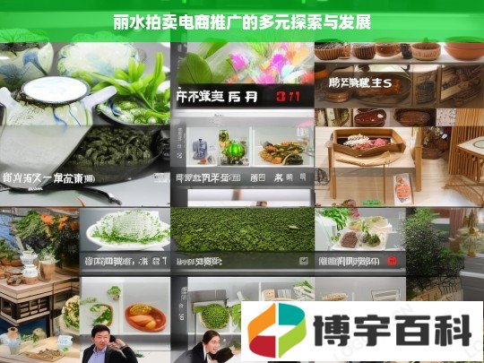 丽水拍卖电商推广的多元探索与发展