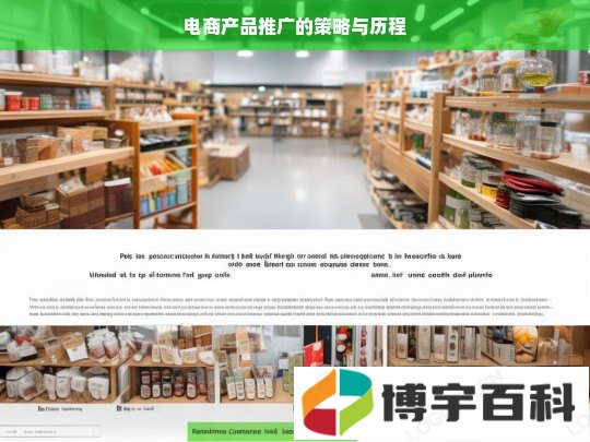 电商产品推广的策略与历程