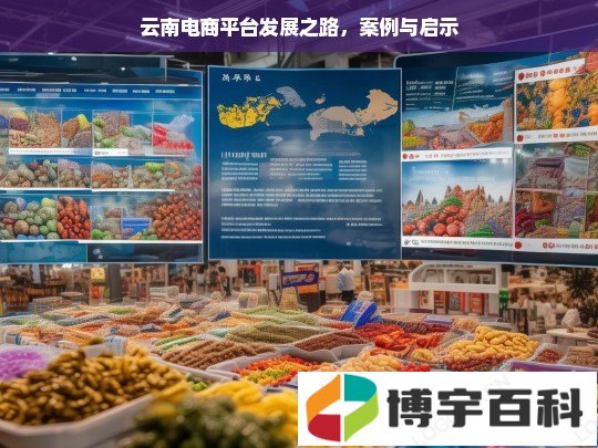 云南电商平台发展之路，案例与启示