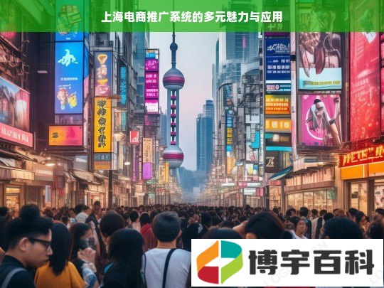 上海电商推广系统的多元魅力与应用