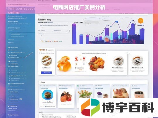 电商网店推广实例分析