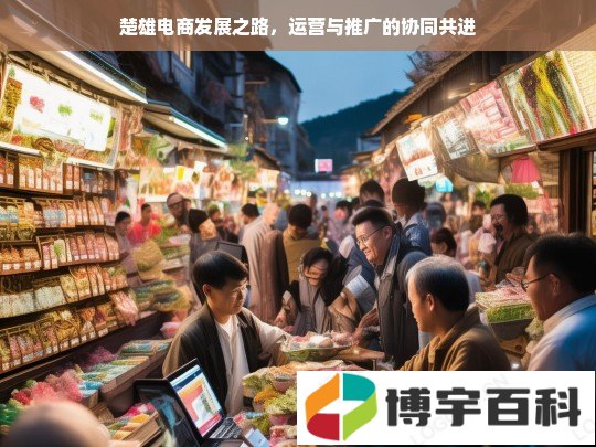 楚雄电商发展之路，运营与推广的协同共进