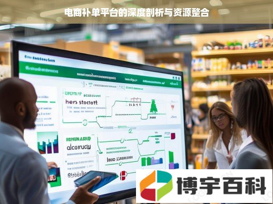 电商补单平台的深度剖析与资源整合