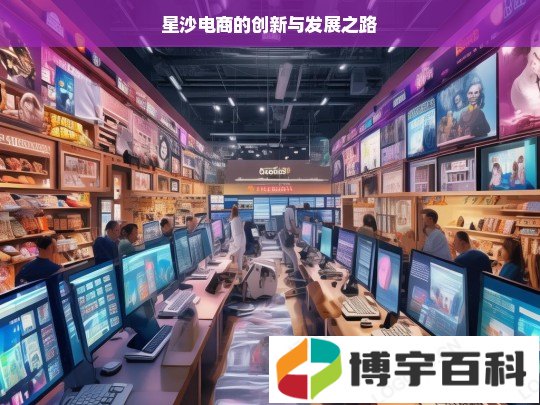 星沙电商的创新与发展之路