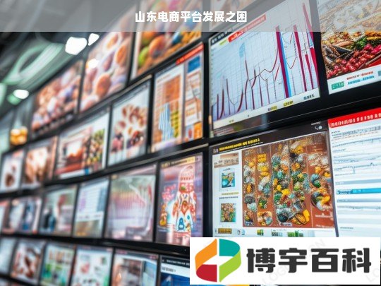 山东电商平台发展之困