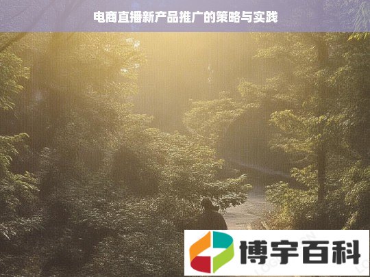 电商直播新产品推广的策略与实践