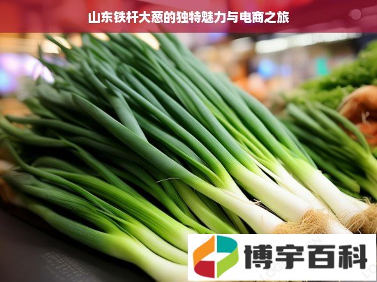 山东铁杆大葱的独特魅力与电商之旅