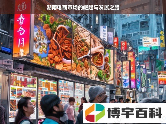 湖南电商市场的崛起与发展之路