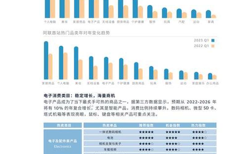 中东电商平台有哪些—中东电商市场的主流付款方式是什么