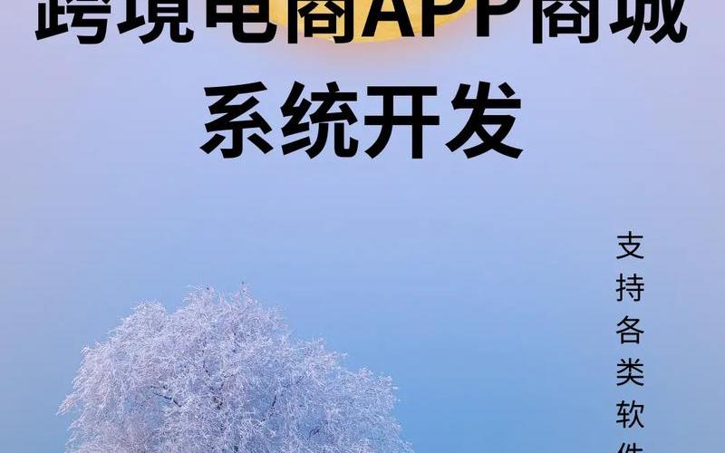 深圳电商app开发可靠吗_电商 深圳