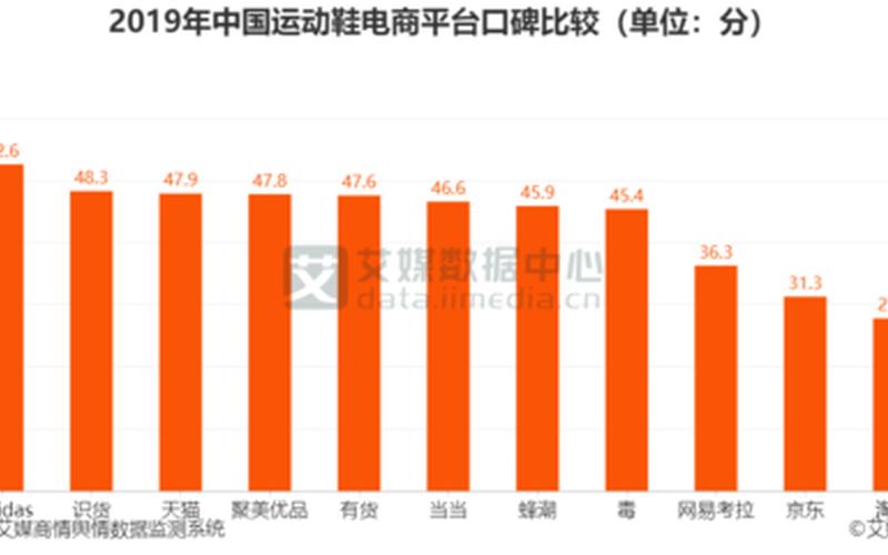 各大电商平台数据分析-2019各电商平台占比