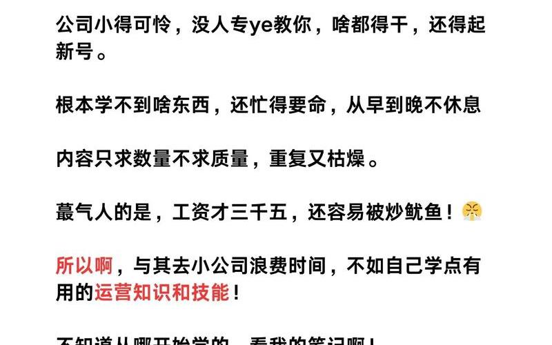 网上电商怎么运营,网络电商怎么做