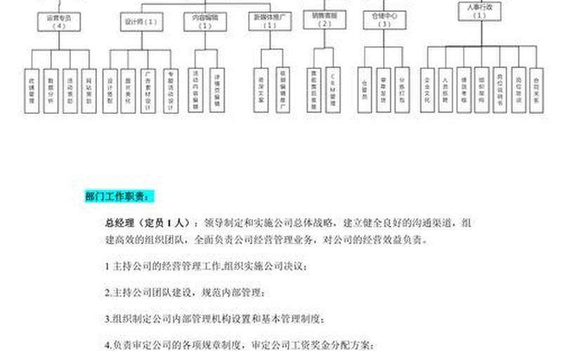 电商服装[zhuāng]公司结构图,电商服装公司结构图片