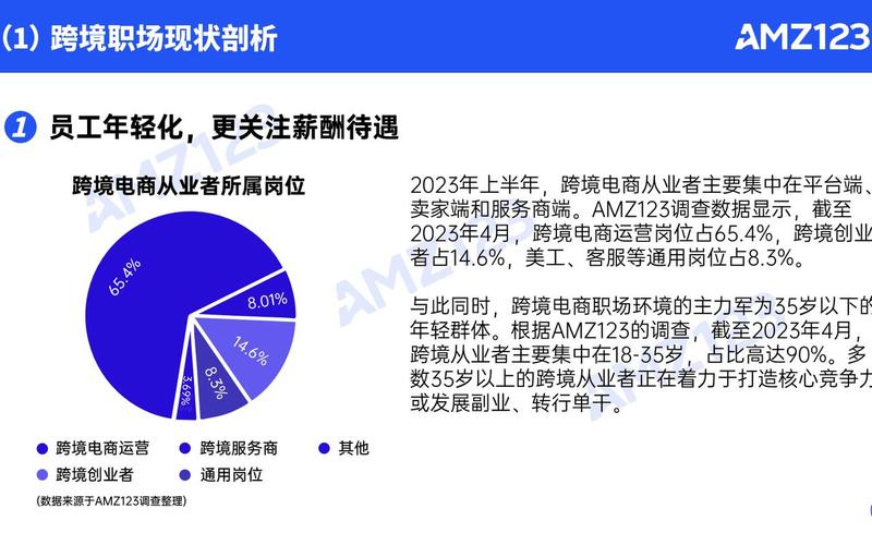 跨境电商从业者跨境电商从业[yè]者现状