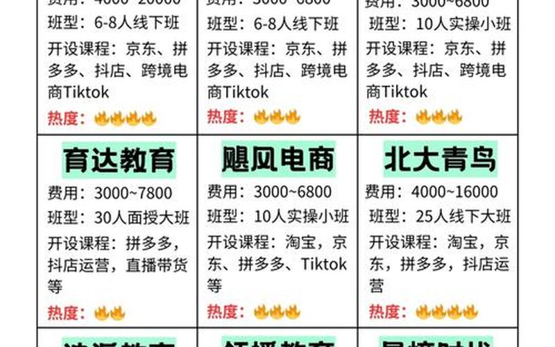 育达[dá]电商培训班哪[něi]个好 育达电子上海有限公司