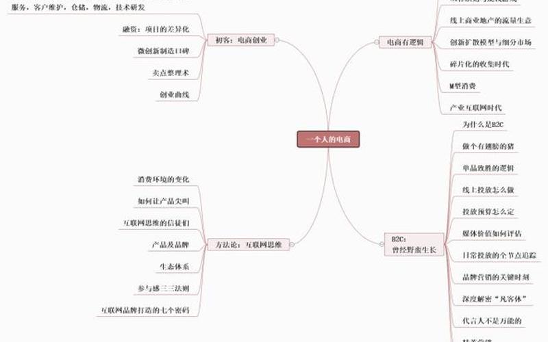 一个人的电商百度云 一个人的电商读后感